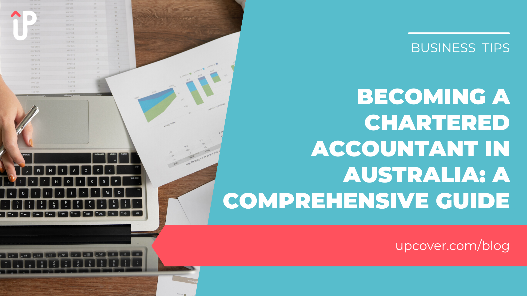 a Chartered Accountant in Australia A Comprehensive Guide